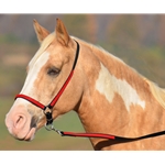 red overlay(candy/bright) BETA BIOTHANE with OVERLAY Grooming Halter