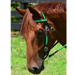 limegreenbase BETA BIOTHANE with OVERLAY Western Bridle with Full Browband