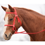 PICNIC BRIDLE or SIMPLE HALTER BRIDLE made from NYLON