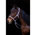 purple BETA BIOTHANE Quick Change Halter Bridle with Snap on Browband
