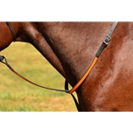 Standing Martingale