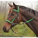 lightgreen (lime/mint)overlay BETA BIOTHANE with OVERLAY 2 in 1 Bitless Bridle