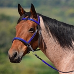 blue base BETA BIOTHANE with OVERLAY 2 in 1 Bitless Bridle