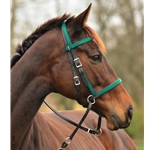 turqoise BETA BIOTHANE with OVERLAY 2 in 1 Bitless Bridle