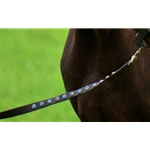BETA BIOTHANE LEADLINES (with Bling) Lead Ropes Lead Lines
