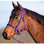 Purple Traditional HALTER BRIDLE with BIT HANGERS made from BETA BIOTHANE