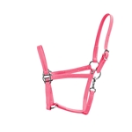 HOT PINK Turnout HALTER & LEAD made from BETA BIOTHANE - PK521