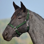 HUNTER GREEN HALTER & LEAD made from BETA BIOTHANE (Solid Colored)