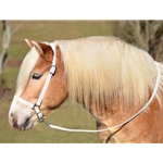 WHITE GROOMING HALTER & LEAD made from BETA BIOTHANE