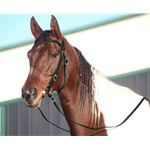 HUNTER GREEN WESTERN BRIDLE (Full Browband) made from BETA BIOTHANE