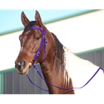 PURPLE WESTERN BRIDLE (Full Browband) made from BETA BIOTHANE