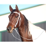 WHITE WESTERN BRIDLE (Full Browband) made from BETA BIOTHANE