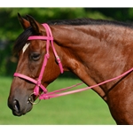 PINK ENGLISH CONVERT-A-BRIDLE made from BETA BIOTHANE