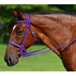 PURPLE ENGLISH CONVERT-A-BRIDLE made from BETA BIOTHANE