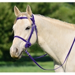 PURPLE PICNIC BRIDLE or SIMPLE HALTER BRIDLE made from Beta Biothane
