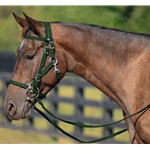 HUNTER GREEN Quick Change HALTER BRIDLE with Snap on Browband made from BETA BIOTHANE