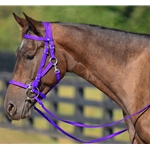 PURPLE Quick Change HALTER BRIDLE with Snap on Browband made from BETA BIOTHANE