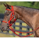 RED Quick Change HALTER BRIDLE with Snap on Browband made from BETA BIOTHANE