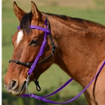 PURPLE Snap on Browband WESTERN BRIDLE made from BETA BIOTHANE