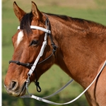 WHITE Snap on Browband WESTERN BRIDLE made from BETA BIOTHANE