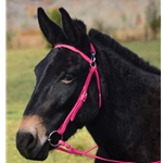 PINK MULE BRIDLE made from BETA BIOTHANE