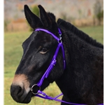 PURPLE MULE BRIDLE made from BETA BIOTHANE