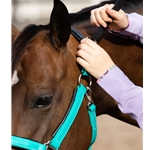 Buy A Teal Beta Biothane Halter at Two Horse Tack