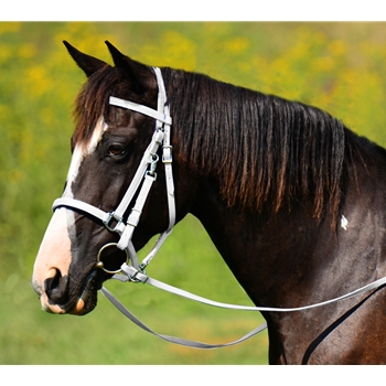 WHITE Traditional HALTER BRIDLE with BIT HANGERS made from BETA BIOTHANE 