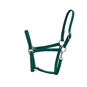 HUNTER GREEN Turnout HALTER & LEAD made from BETA BIOTHANE - GN522