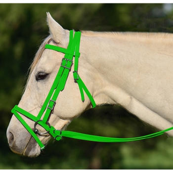 LIME GREEN ENGLISH BRIDLE with CAVESSON made from BETA BIOTHANE 