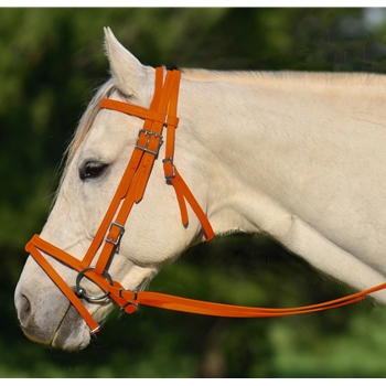 ORANGE ENGLISH BRIDLE with CAVESSON made from BETA BIOTHANE 