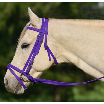 PURPLE ENGLISH BRIDLE with CAVESSON made from BETA BIOTHANE 