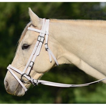 WHITE ENGLISH BRIDLE with CAVESSON made from BETA BIOTHANE 
