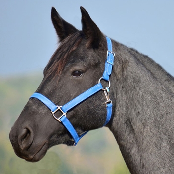 LIGHT BLUE HALTER & LEAD made from BETA BIOTHANE (Solid Colored)