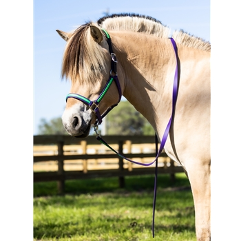 REFLECTIVE Safety HALTER & LEAD with BREAKAWAY LEATHER CROWN made from Beta Biothane 