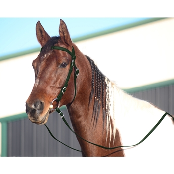 HUNTER GREEN WESTERN BRIDLE (Full Browband) made from BETA BIOTHANE 
