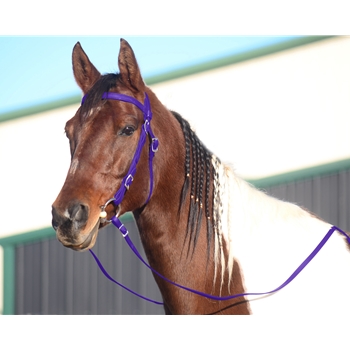 PURPLE WESTERN BRIDLE (Full Browband) made from BETA BIOTHANE 