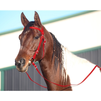 RED WESTERN BRIDLE (Full Browband) made from BETA BIOTHANE 