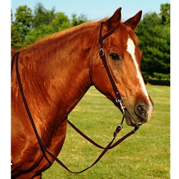 BROWN WESTERN BRIDLE (One Ear or Two Ear Split Ear Browband) made from BETA BIOTHANE 
