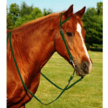 HUNTER GREEN WESTERN BRIDLE (One Ear or Two Ear Split Ear Browband) made from BETA BIOTHANE 
