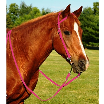 PINK WESTERN BRIDLE (One Ear or Two Ear Split Ear Browband) made from BETA BIOTHANE 