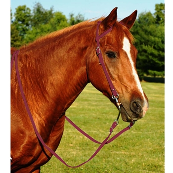 WINE WESTERN BRIDLE (One Ear or Two Ear Split Ear Browband) made from BETA BIOTHANE 