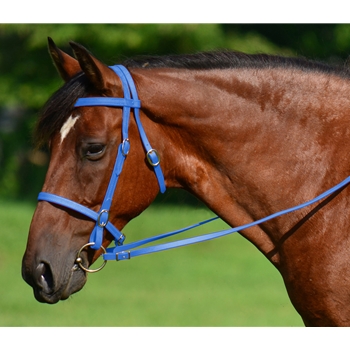 LIGHT BLUE ENGLISH CONVERT-A-BRIDLE made from BETA BIOTHANE 