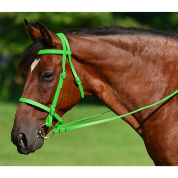LIME GREEN ENGLISH CONVERT-A-BRIDLE made from BETA BIOTHANE 