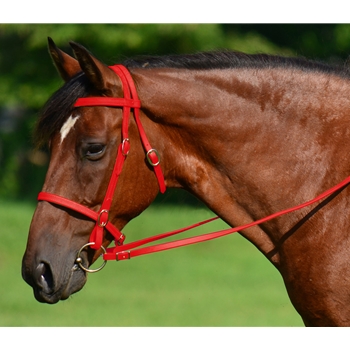 RED ENGLISH CONVERT-A-BRIDLE made from BETA BIOTHANE 