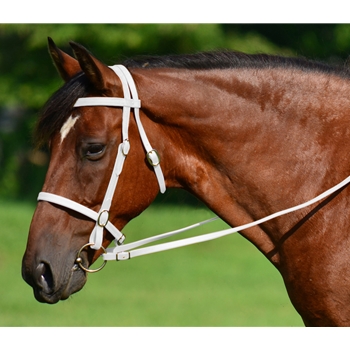 WHITE ENGLISH CONVERT-A-BRIDLE made from BETA BIOTHANE 