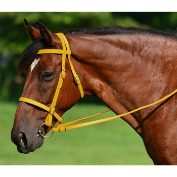 YELLOW ENGLISH CONVERT-A-BRIDLE made from BETA BIOTHANE 