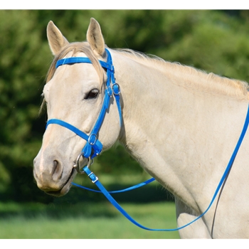 LIGHT BLUE PICNIC BRIDLE or SIMPLE HALTER BRIDLE made from Beta Biothane