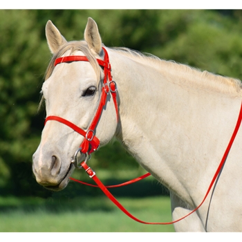 RED PICNIC BRIDLE or SIMPLE HALTER BRIDLE made from Beta Biothane