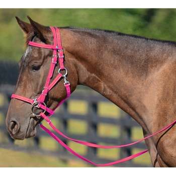 PINK Quick Change HALTER BRIDLE with Snap on Browband made from BETA BIOTHANE 